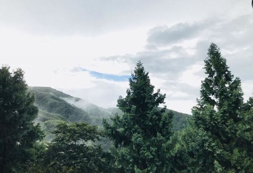 تختخواب و صبحانه Xitou Bi Xue Shan Lin Homestay