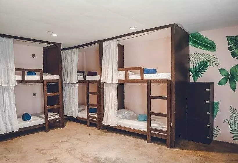 Coco Pod Siargao   Hostel