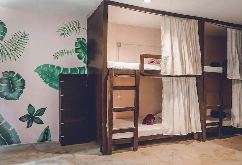 Coco Pod Siargao   Hostel