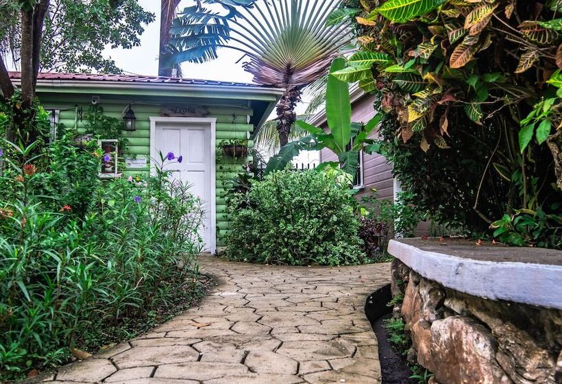 Harbour View Boutique Hotel & Wellness Retreat