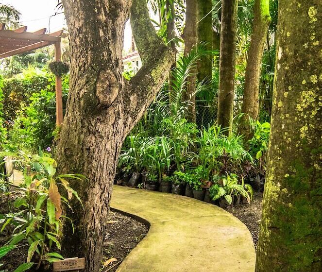 Harbour View Boutique Hotel & Wellness Retreat