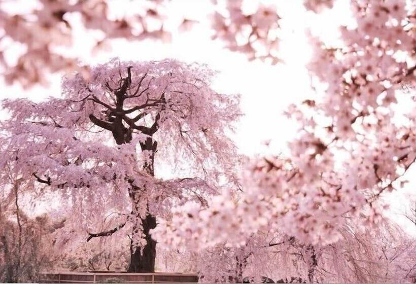 Hotel Sanco Inn Kyoto Hachijoguchi Shikinoyu