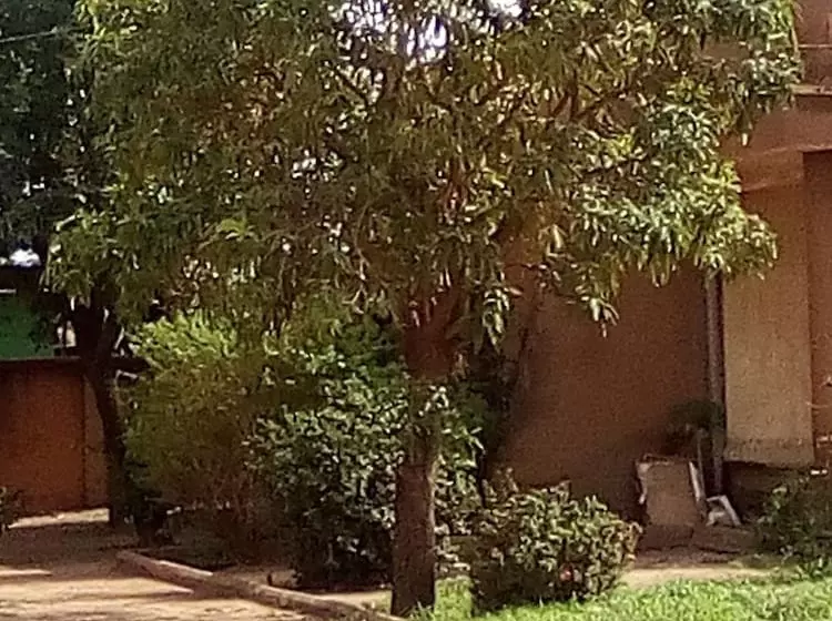 Kamac   Hostel