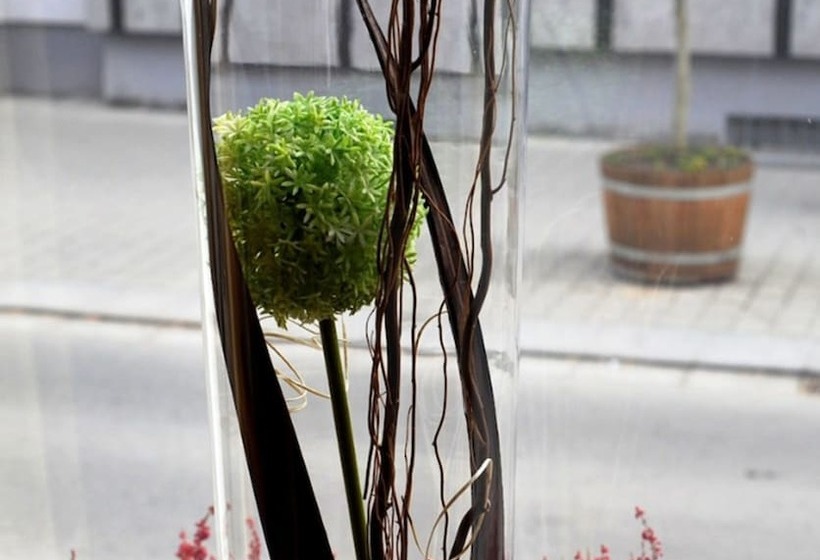 בית מלון כפרי Bma Park