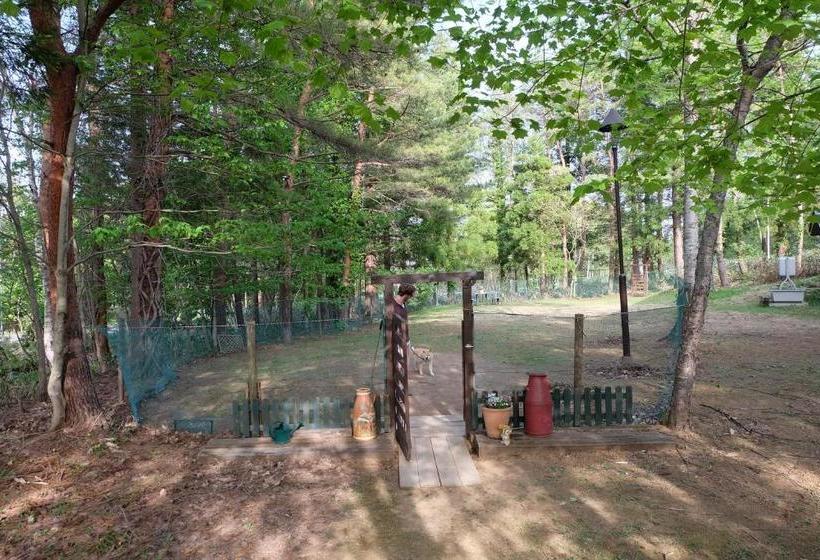 Appikogen Pension Mutti