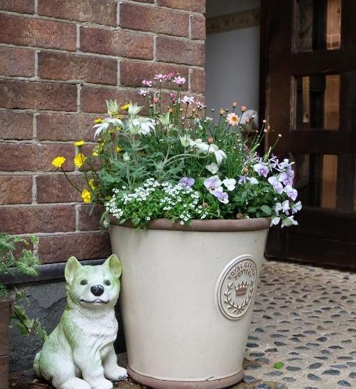 Appikogen Pension Mutti