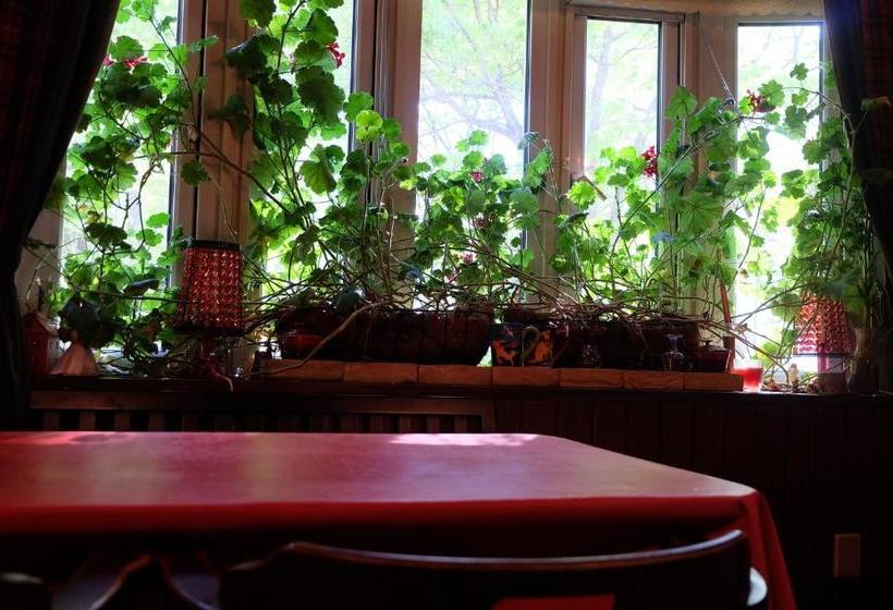 Appikogen Pension Mutti