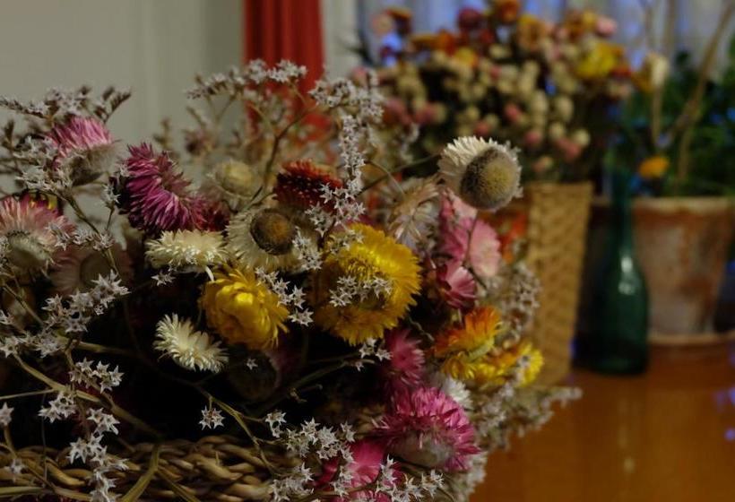 Appikogen Pension Mutti