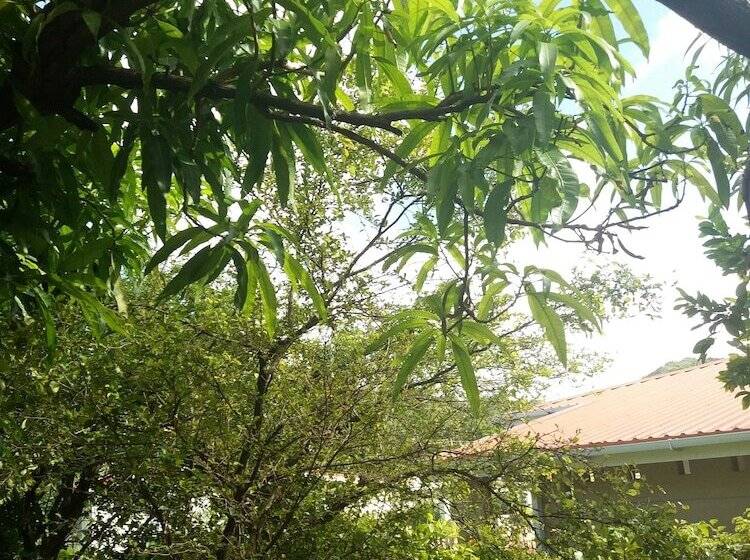 Celestial Vacation Home