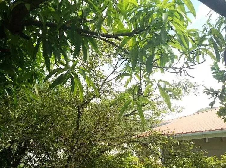 Celestial Vacation Home