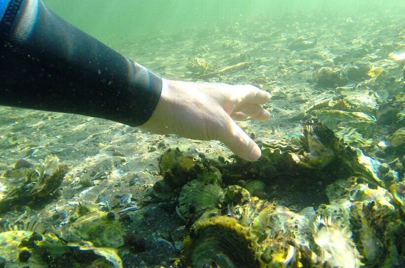 Отель Raet Camping