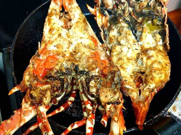 پانسیون Cacao Lodge