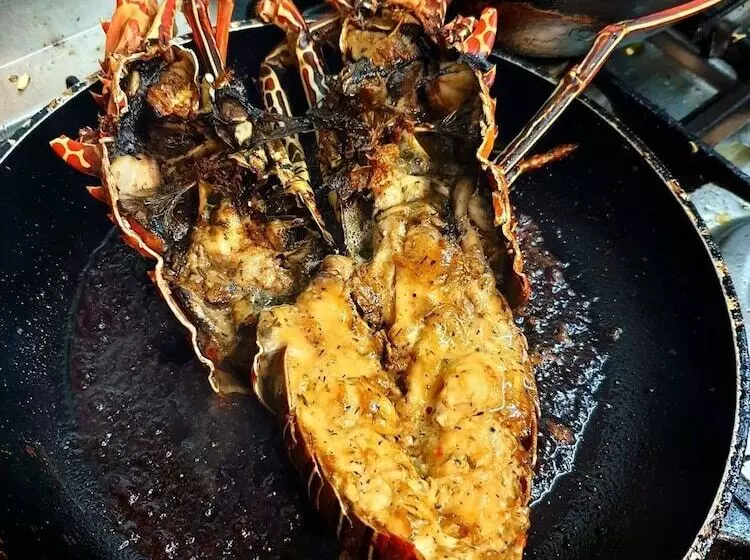 پانسیون Cacao Lodge