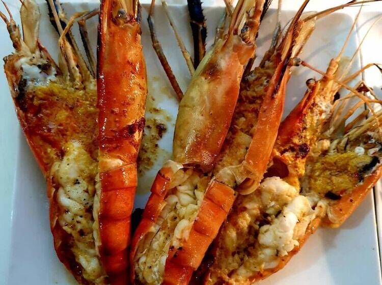 پانسیون Cacao Lodge