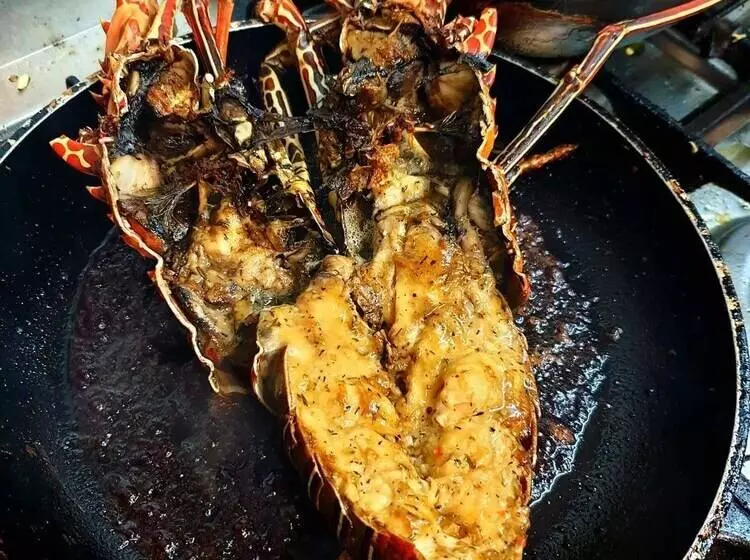 پانسیون Cacao Lodge