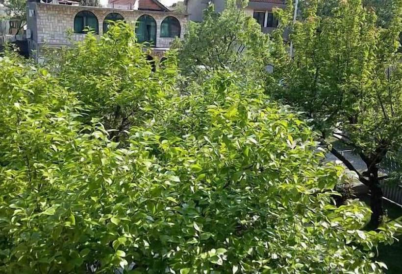 پانسیون Db Prenociste