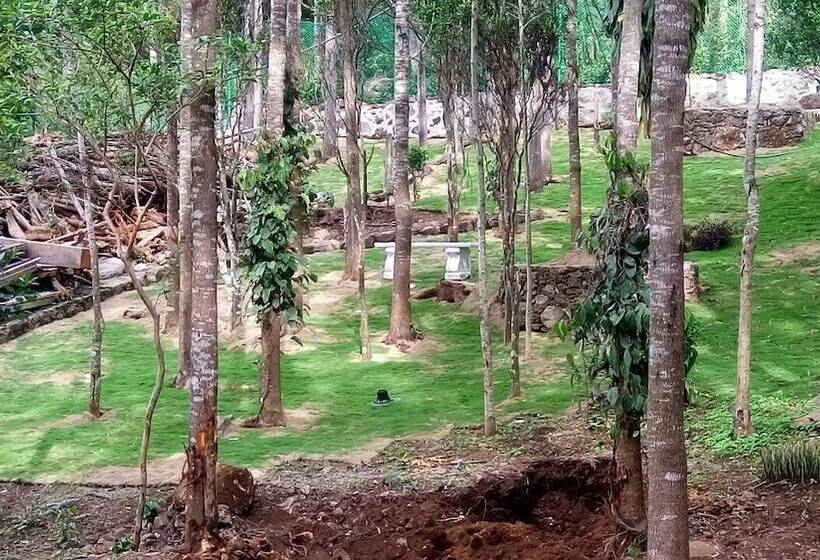 The Brook Resorts & Spa