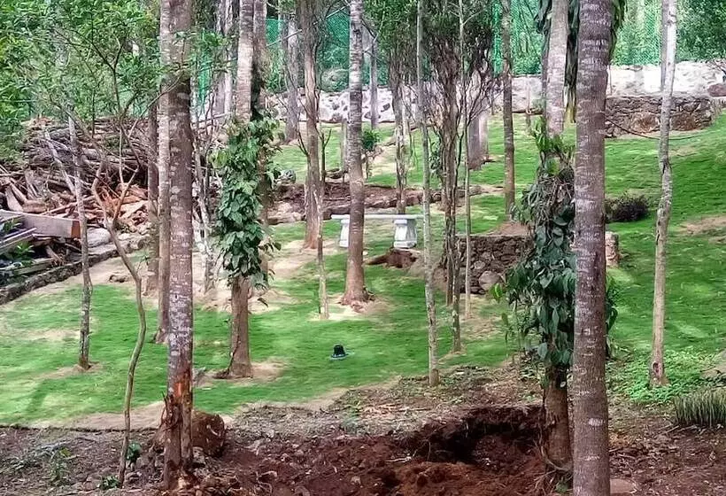 The Brook Resorts & Spa