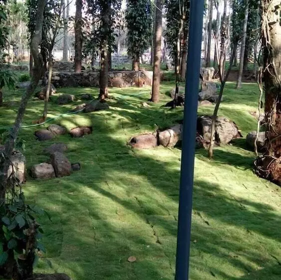 The Brook Resorts & Spa