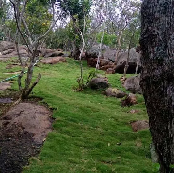 The Brook Resorts & Spa