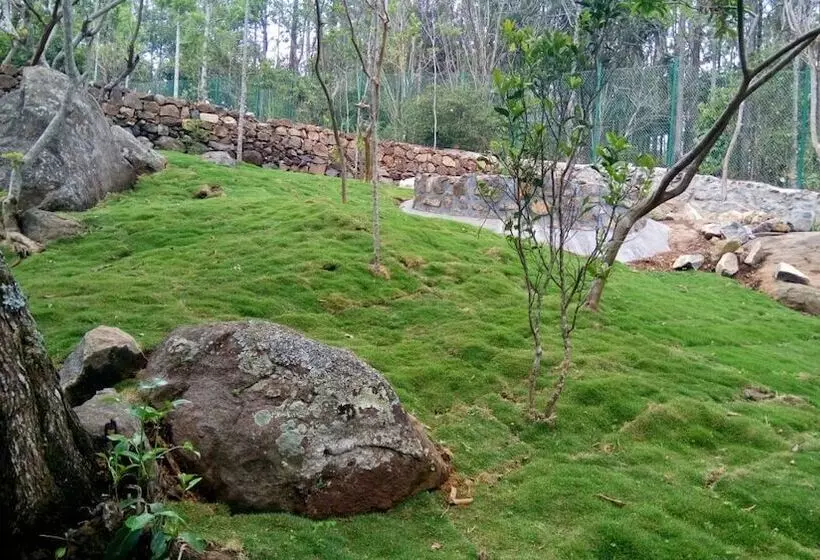 The Brook Resorts & Spa