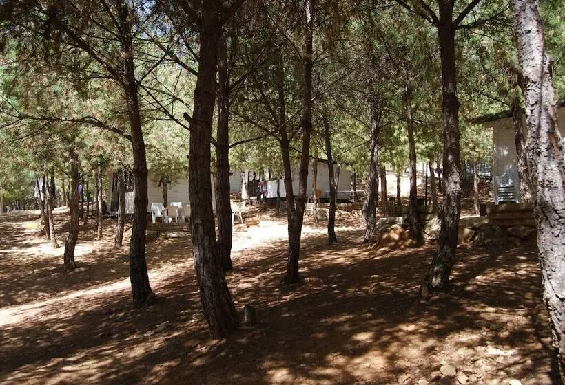 Hotelli Camping Valdearenas