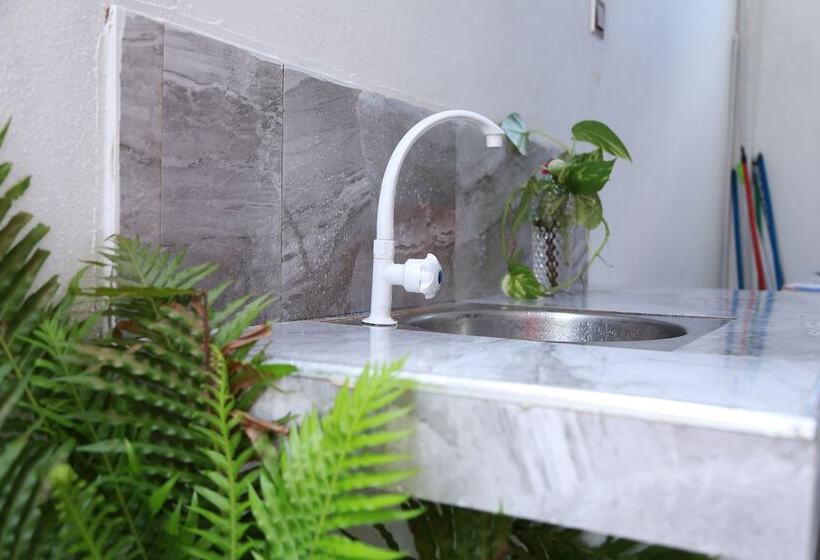 Pension New Planet Guest