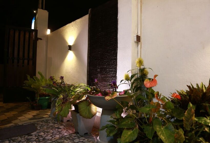 Pension New Planet Guest