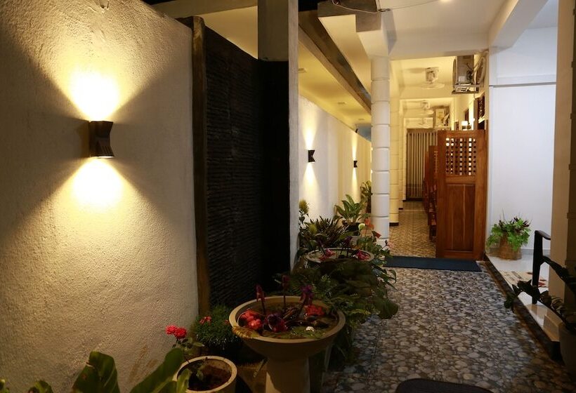 Pension New Planet Guest