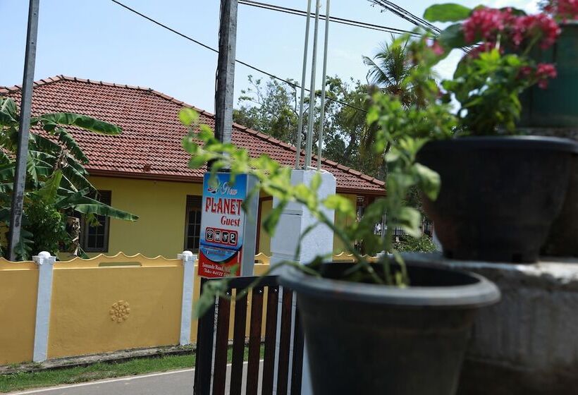 Pension New Planet Guest