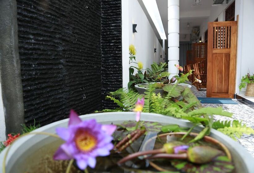 Pension New Planet Guest