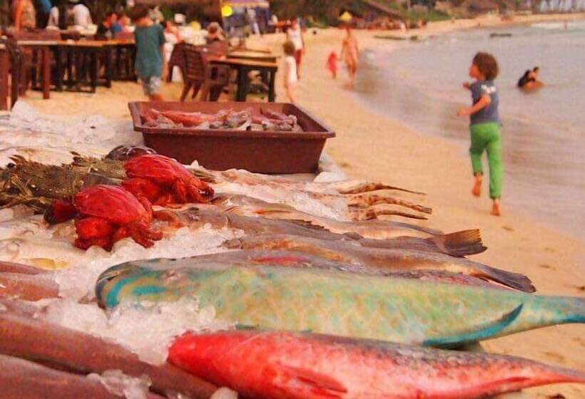 Pension New Planet Guest