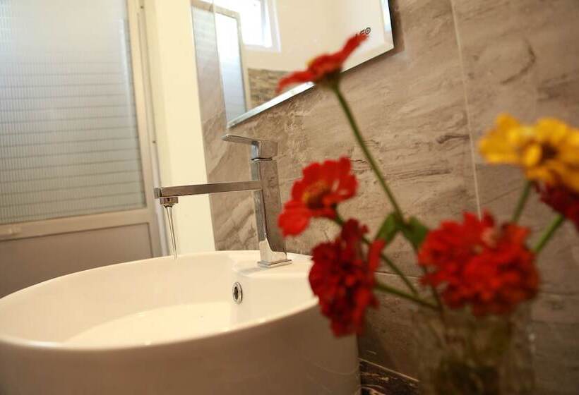 Pension New Planet Guest