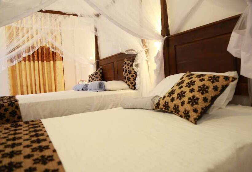 Pension New Planet Guest