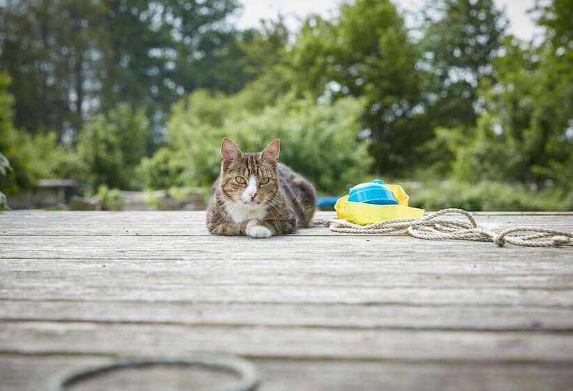 ペンション Reiterhof Zwei Linden