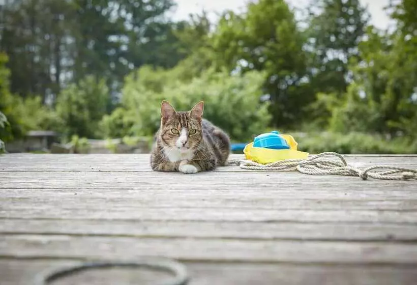 Majatalo Reiterhof Zwei Linden