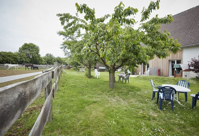 ペンション Reiterhof Zwei Linden