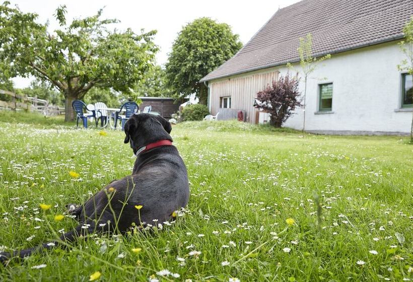 ペンション Reiterhof Zwei Linden