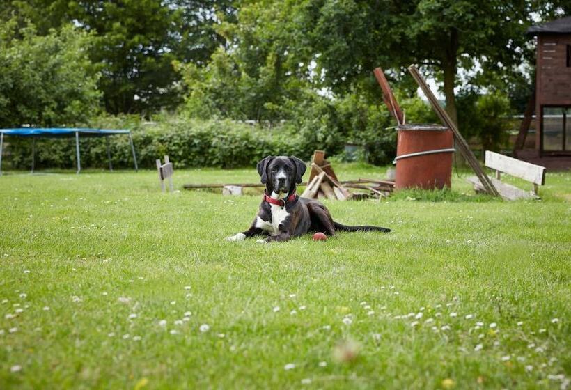 ペンション Reiterhof Zwei Linden