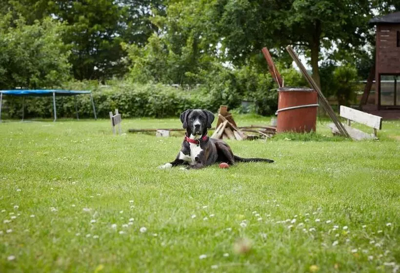 Majatalo Reiterhof Zwei Linden