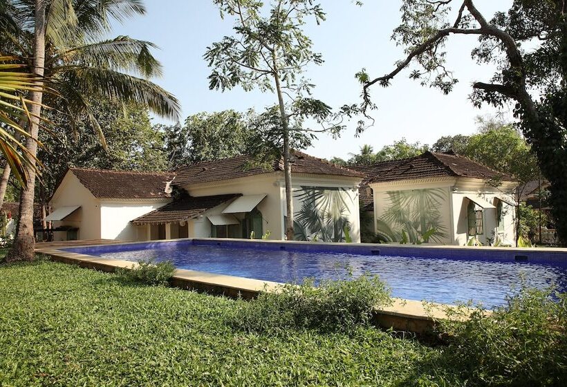 The Project Cafe Goa