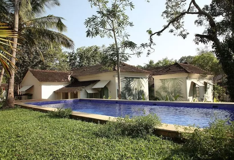 The Project Cafe Goa