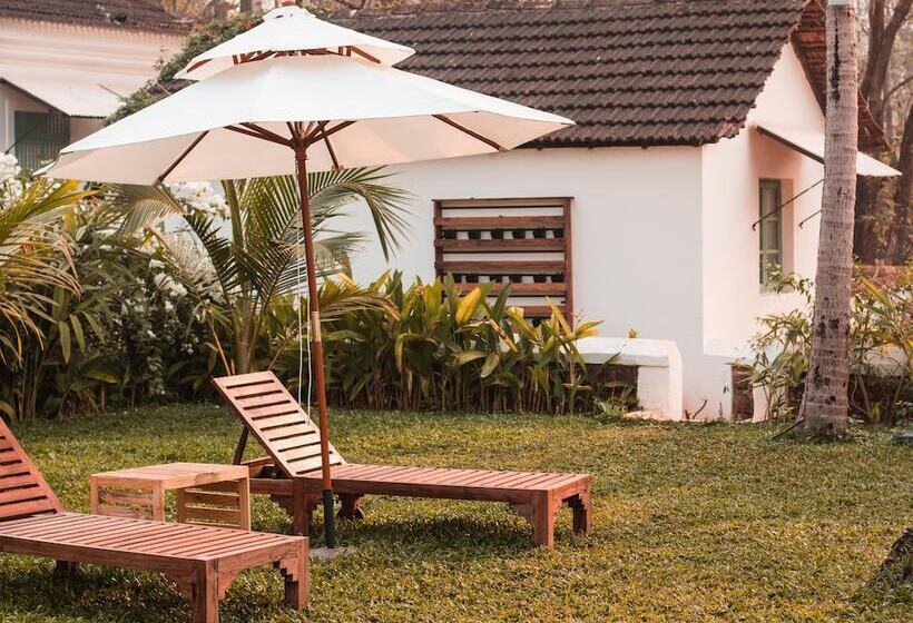 The Project Cafe Goa