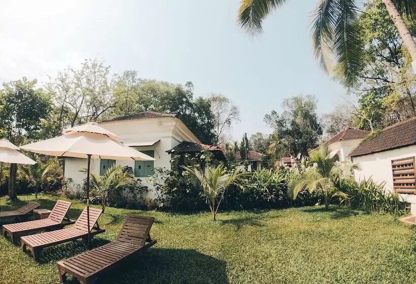 The Project Cafe Goa