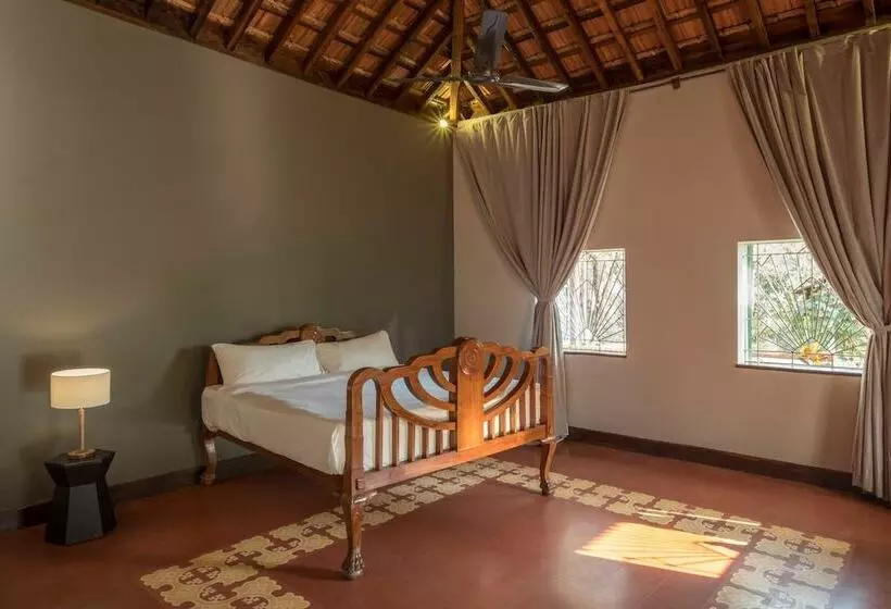 The Project Cafe Goa