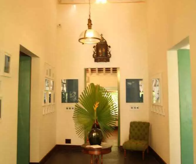 The Project Cafe Goa