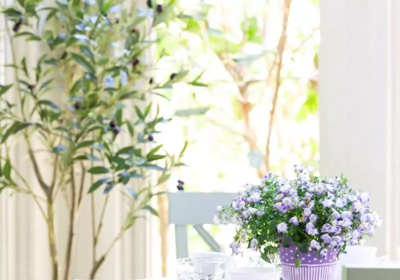 민박 Garden Street Inn Downtown San Luis Obispo, A Kirkwood Collection