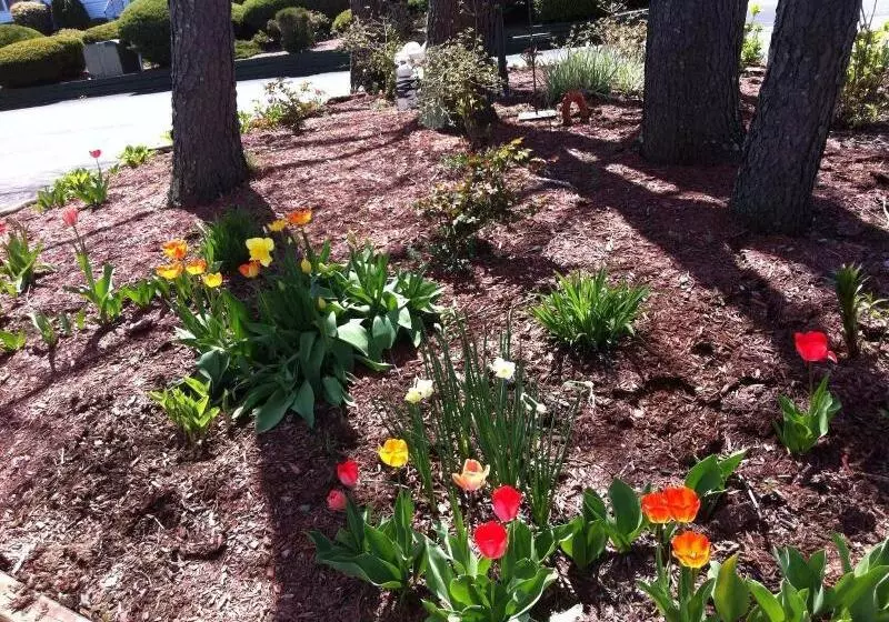 Founder's Brook Motel And Suites
