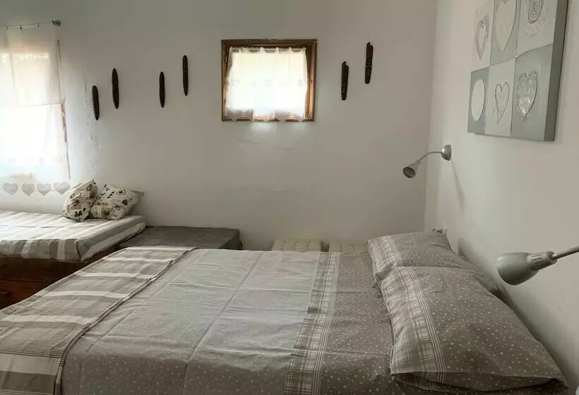 Domus Rio Papagaio