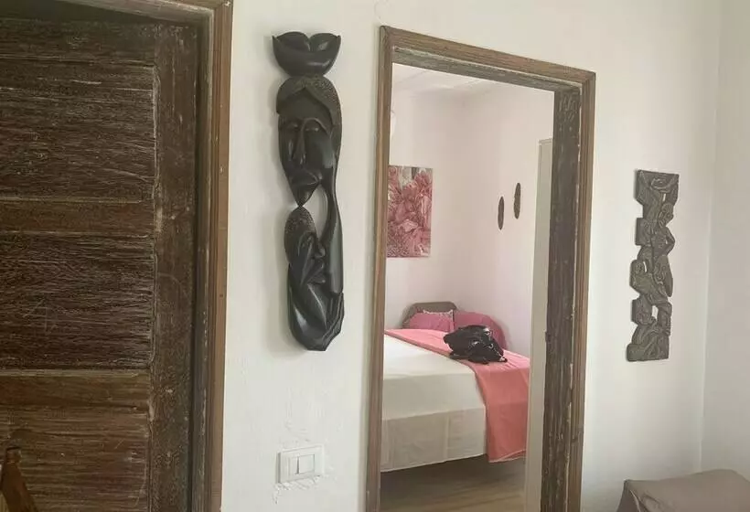 Domus Rio Papagaio